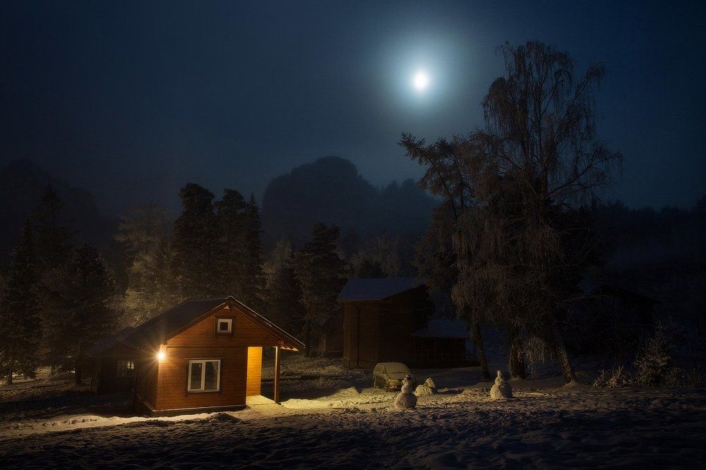 Ночь, лес и тишина