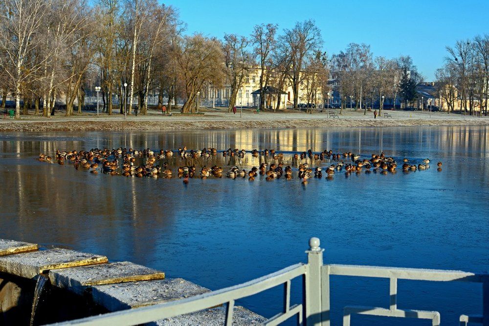 Утиное Крещение