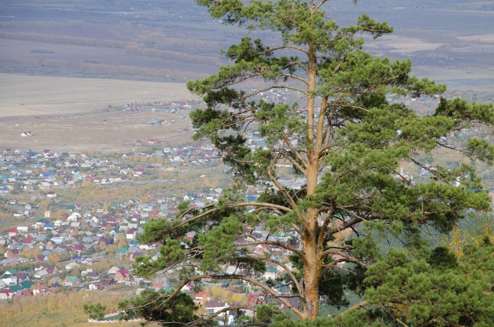 город Белокуриха