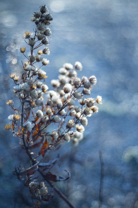 Pavel \'PAshaRome\' Vavilin, Italy