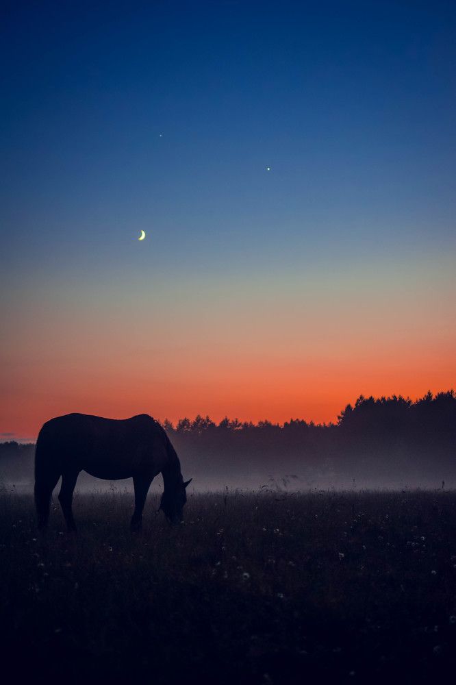 Вечерняя гармония