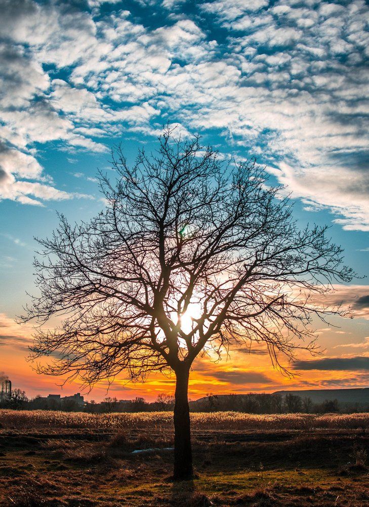 Минутка умиротворения