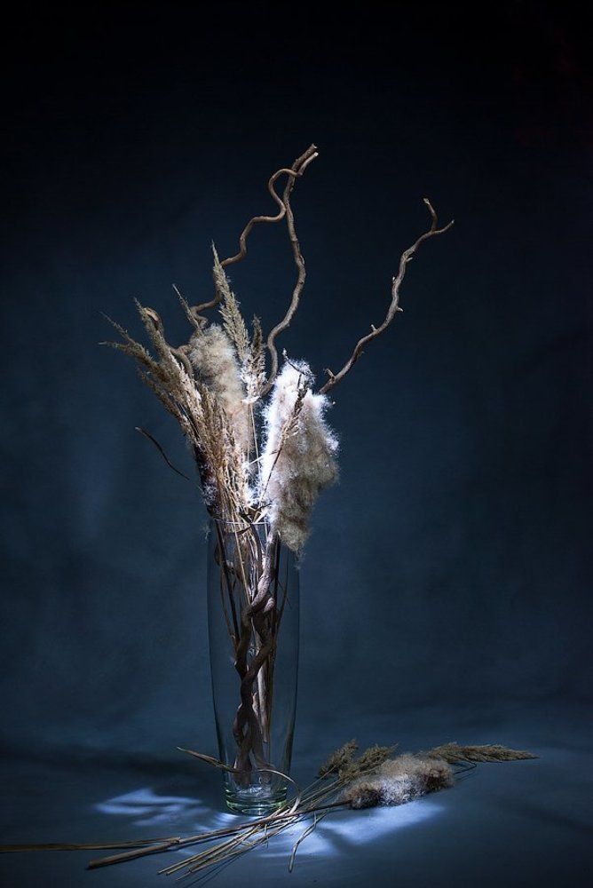 Лунный свет