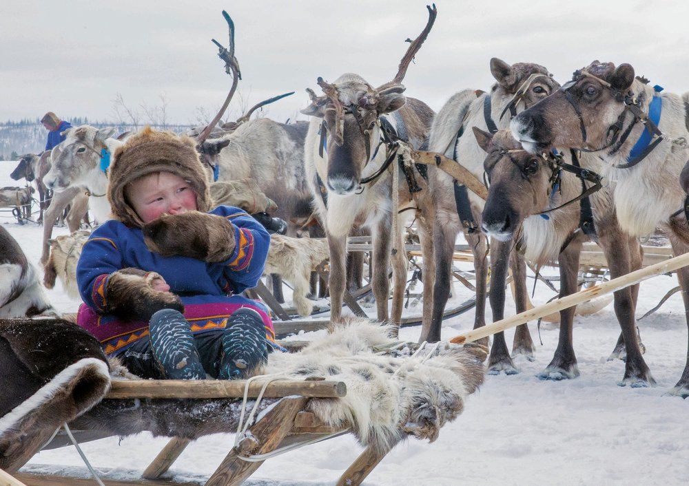 Дитя тундры