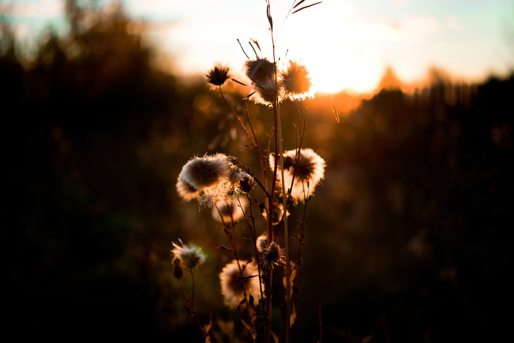 Photograph by Евгения