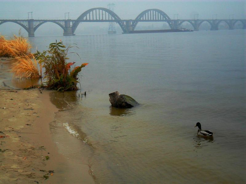 Dzekunova Tanya, Ukraine