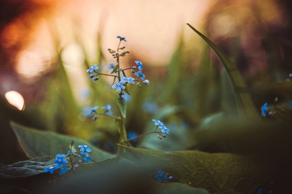 Photograph by Юлия