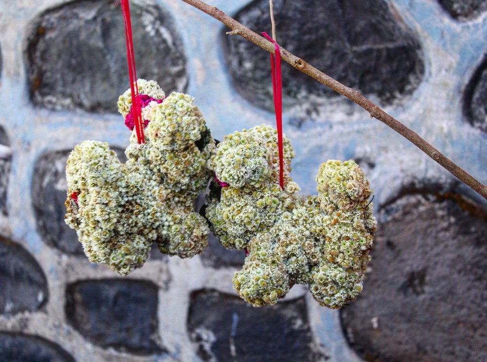 Keabadian Yang Tak Abadi