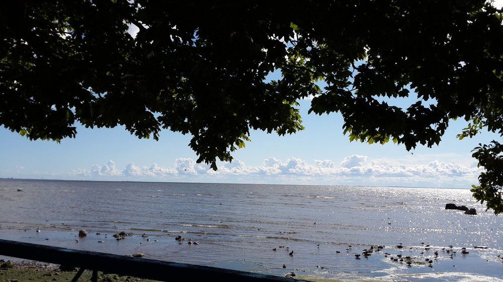 Финский залив