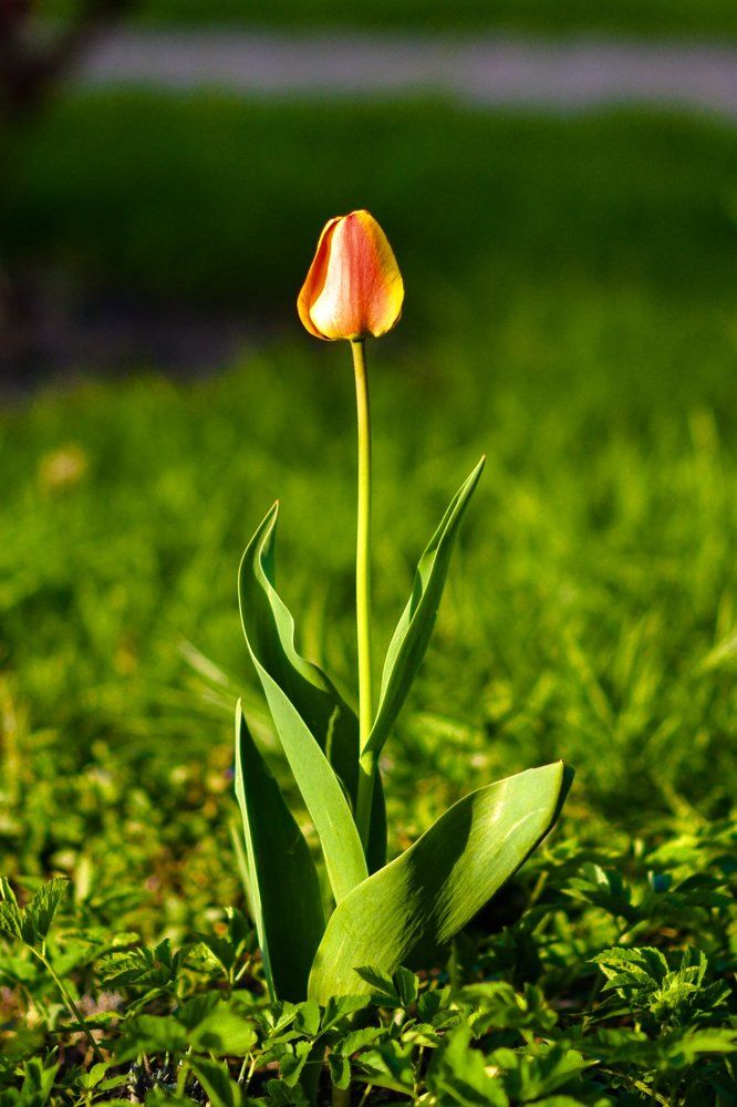 Встречая рассвет