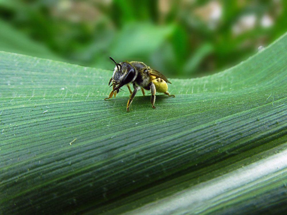 Низкий старт. Побежали?!!