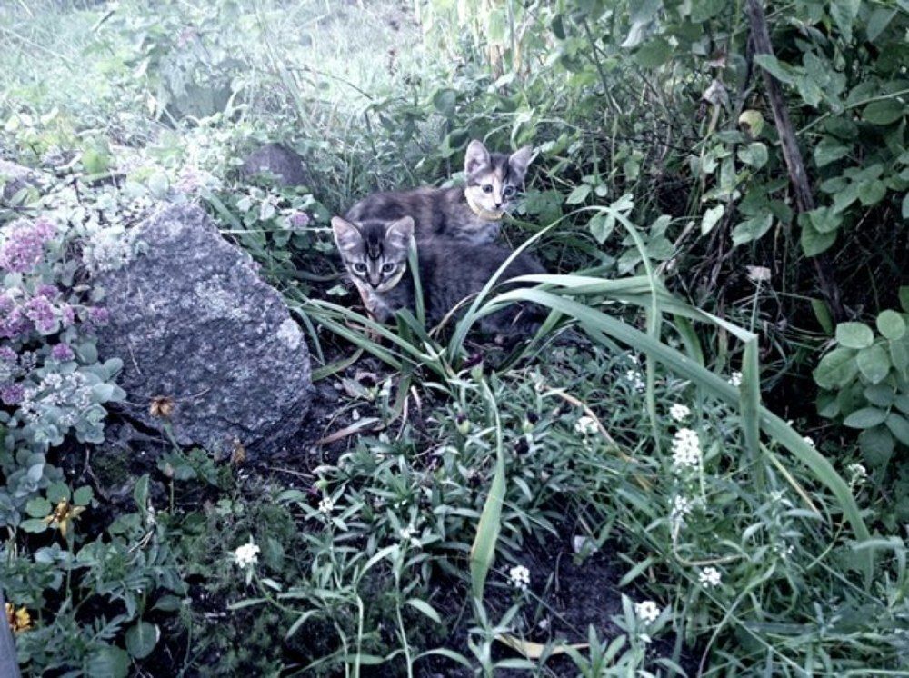 Photograph by Юлиана