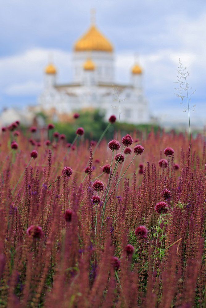 Храм над цветочными волнами
