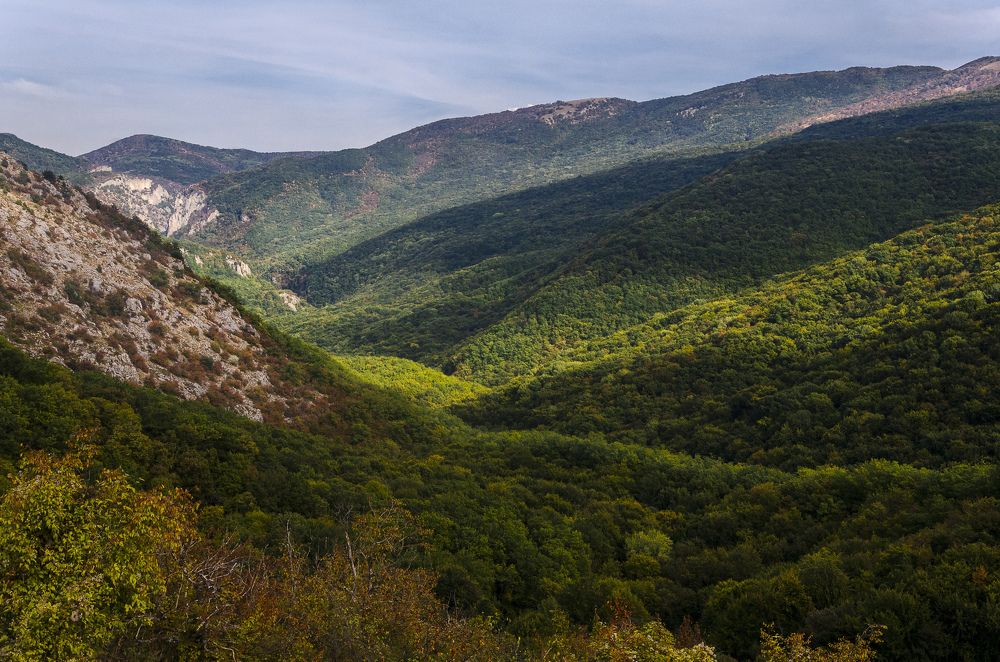 Крымский ковёр.