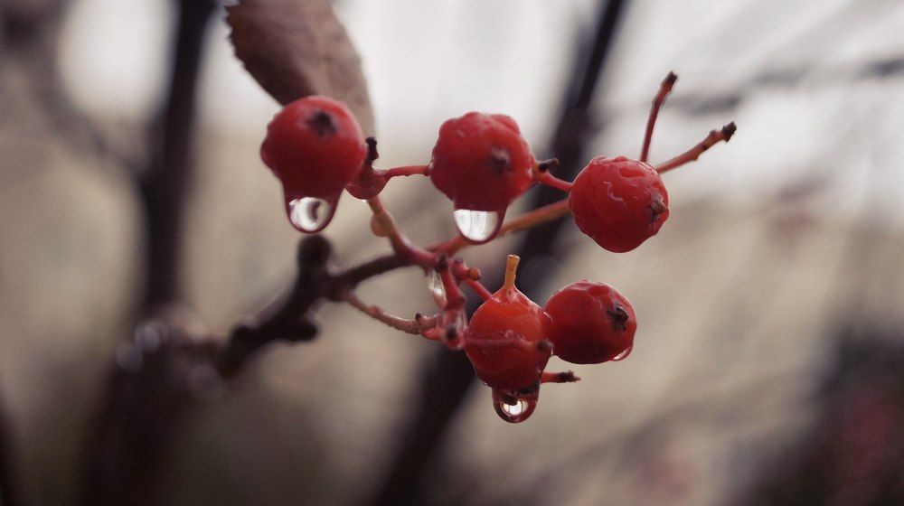 Photograph by Орлова Валерия