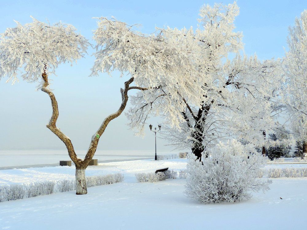 В день Николы зимнего