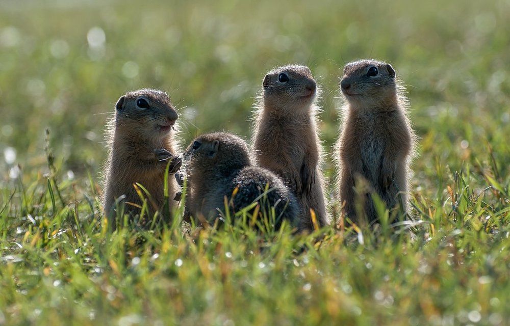 Давай делиться..)