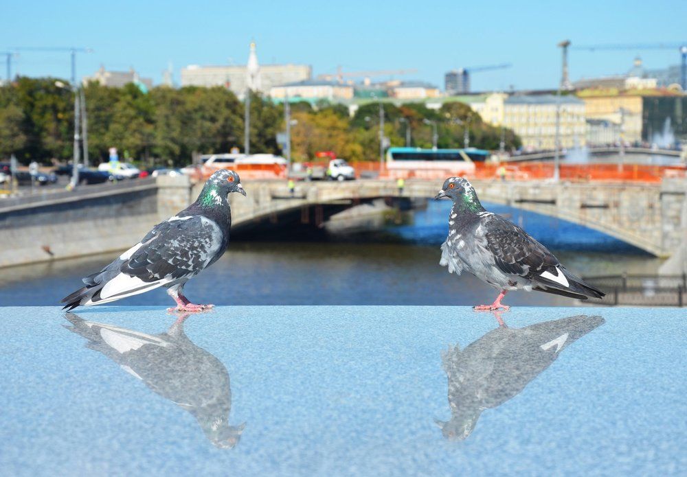 Знакомство