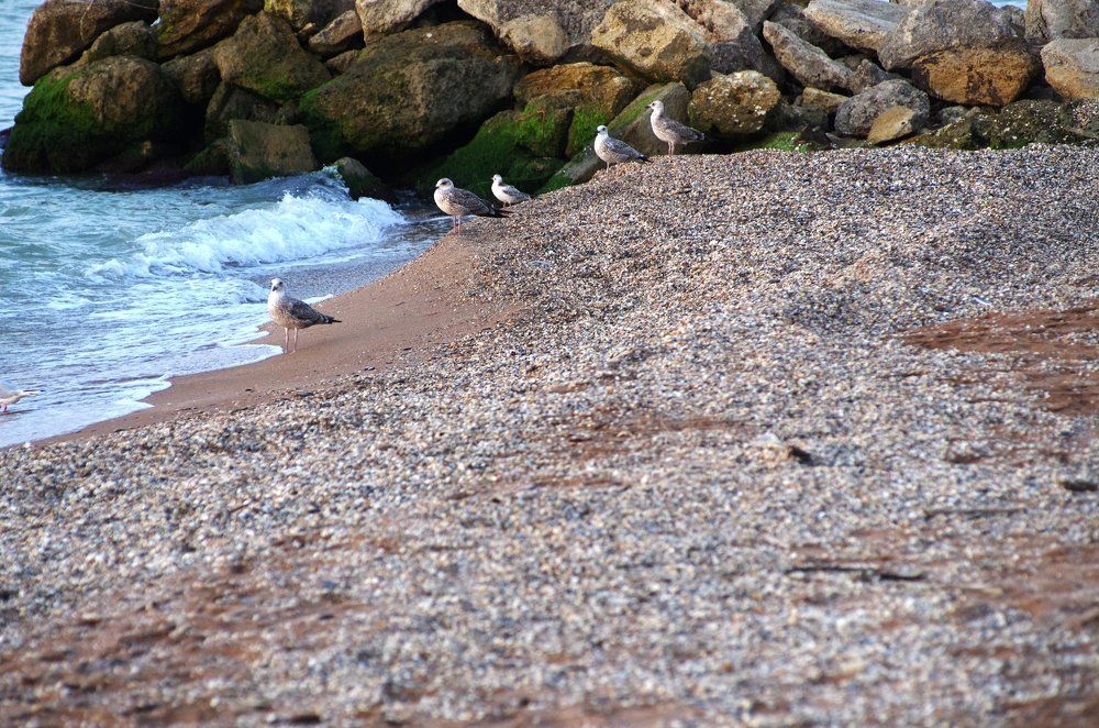 Photograph by Александр Русак