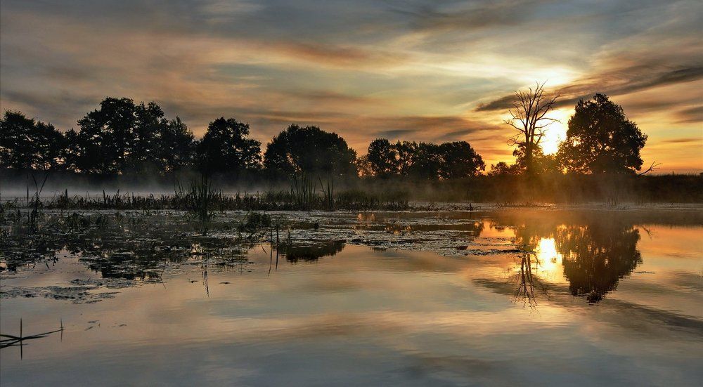 Холодный рассвет