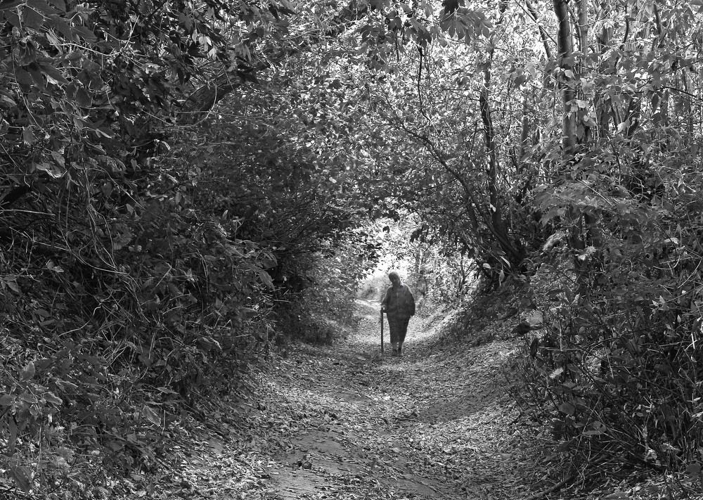 Возвращение