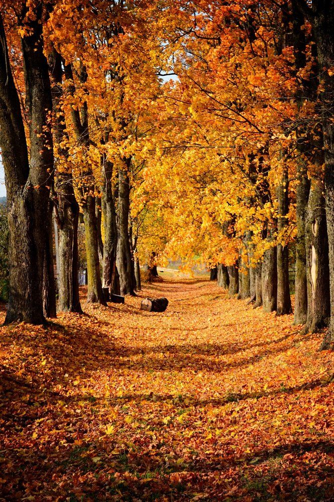 Пушкинская мечта