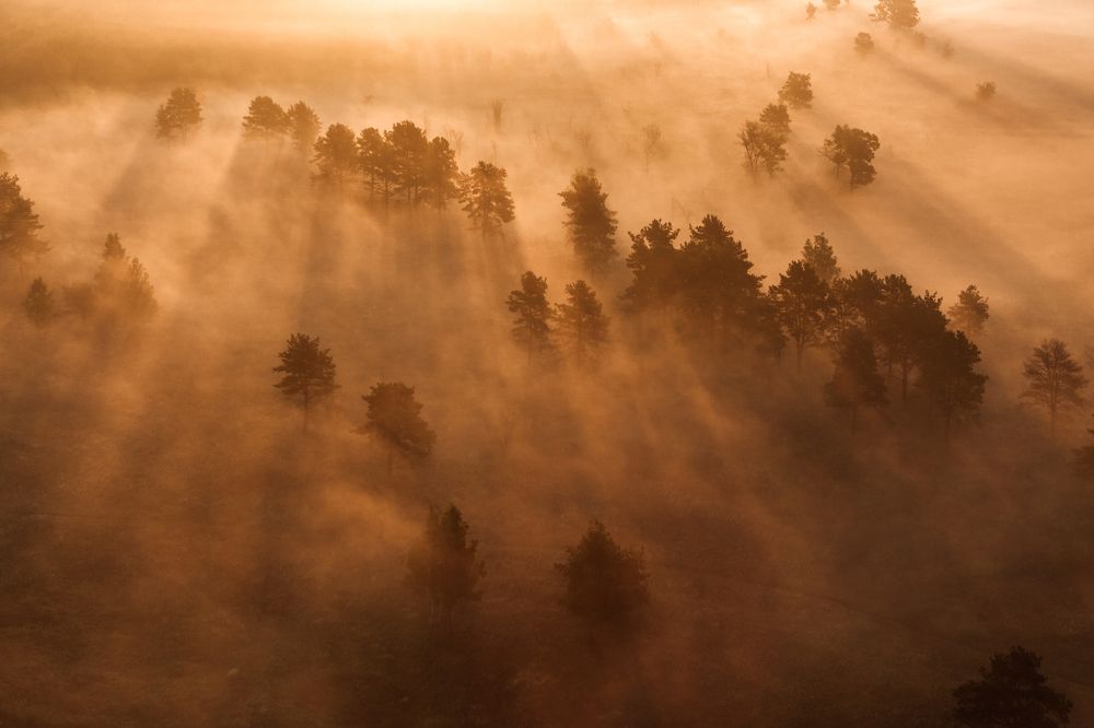 Утренняя туманность
