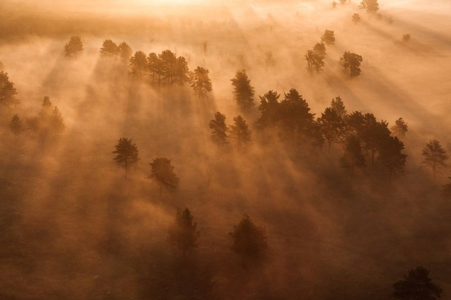 Утренняя туманность