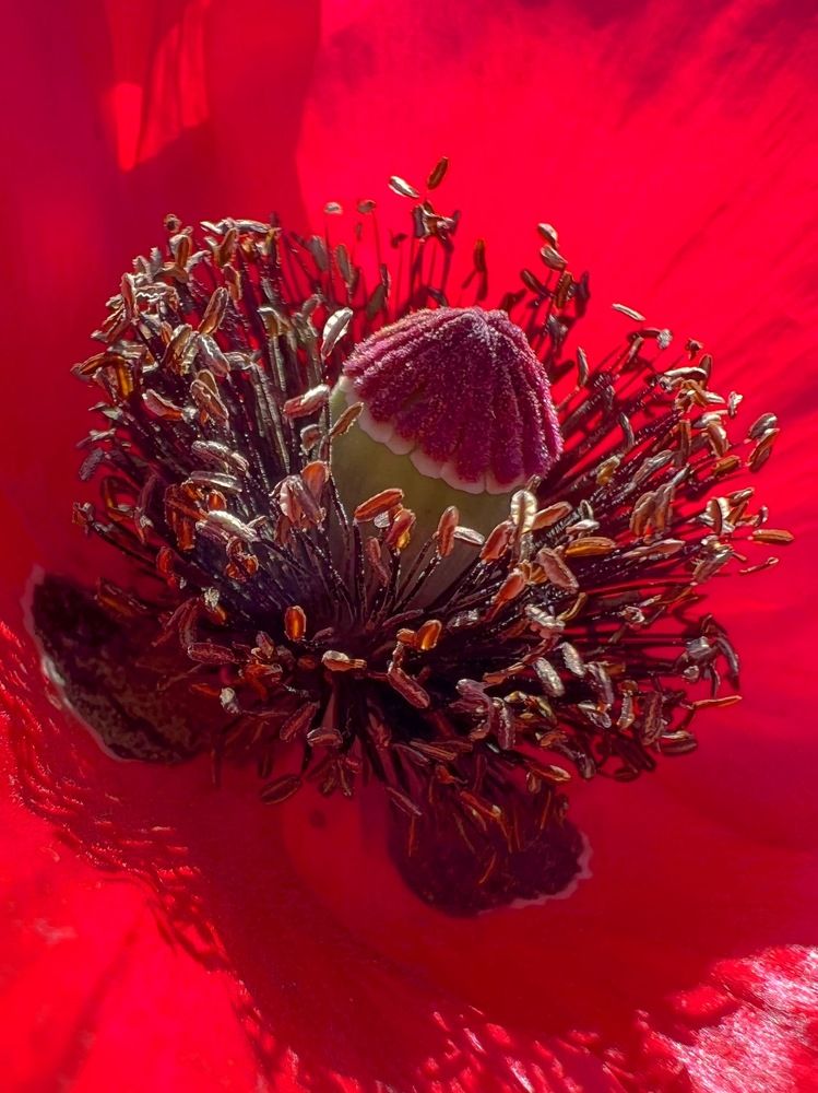 Photograph by Татьяна Волохова