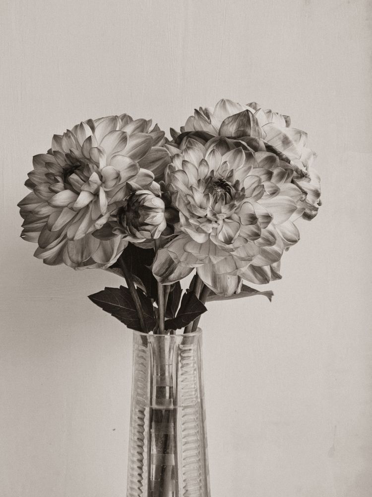 Фотография автора Olga