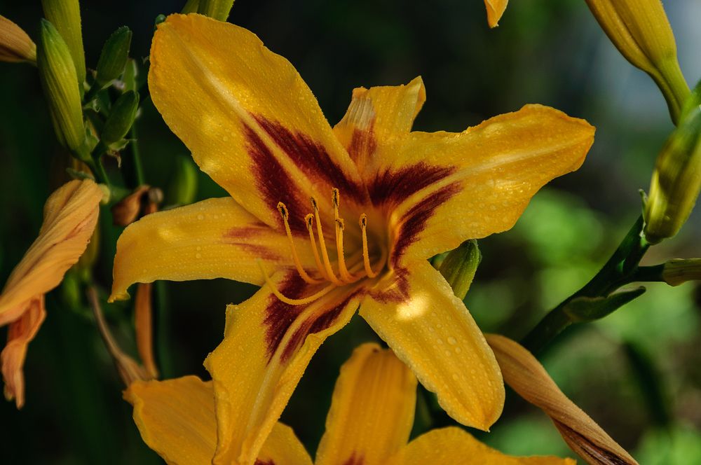 Photograph by Александр Поцелуев