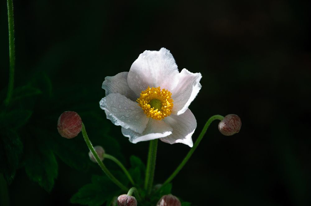 Photograph by Александр Поцелуев