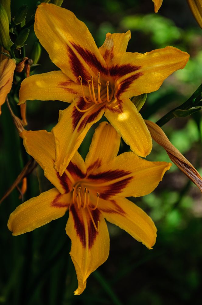 Photograph by Александр Поцелуев