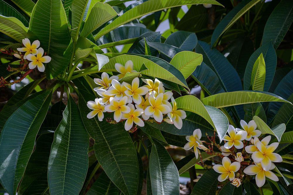 Photograph by Александр Поцелуев