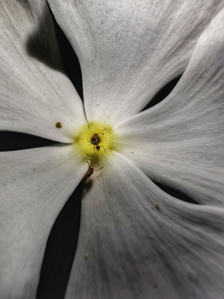 Photograph by Md Sabbir Khan