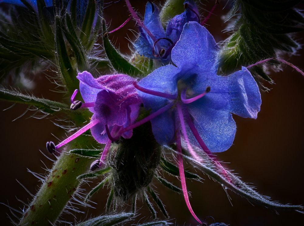 Photograph by Владимир Кваша