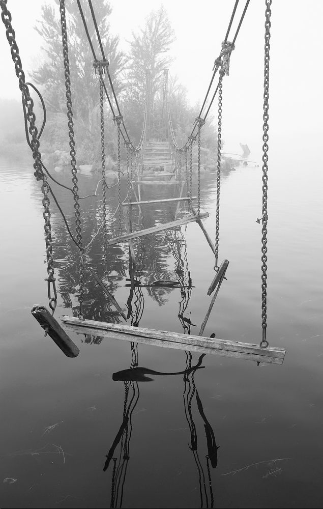 Photograph by Марина Терещенко