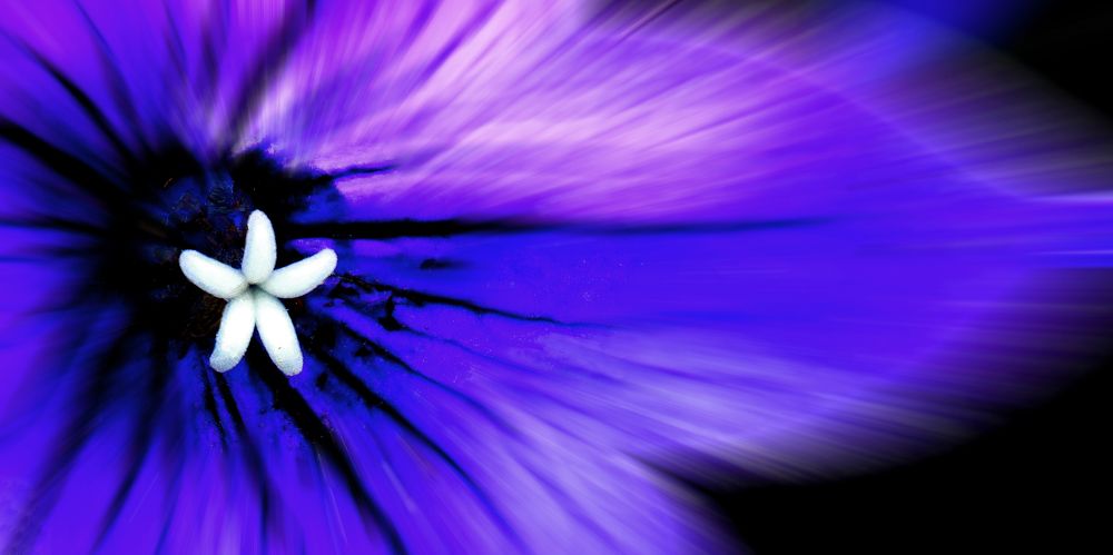 Photograph by Вячеслав Лычков