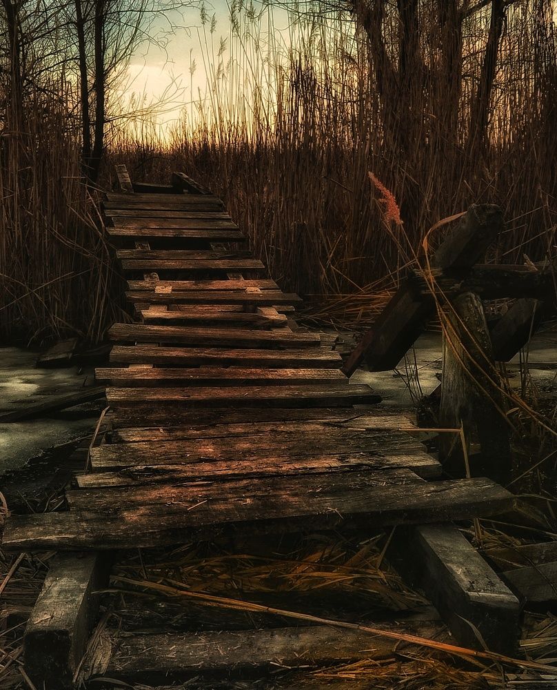 Фотография автора Юлияна Стоянова