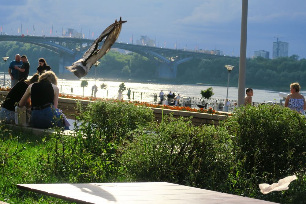 Photograph by Орл Про