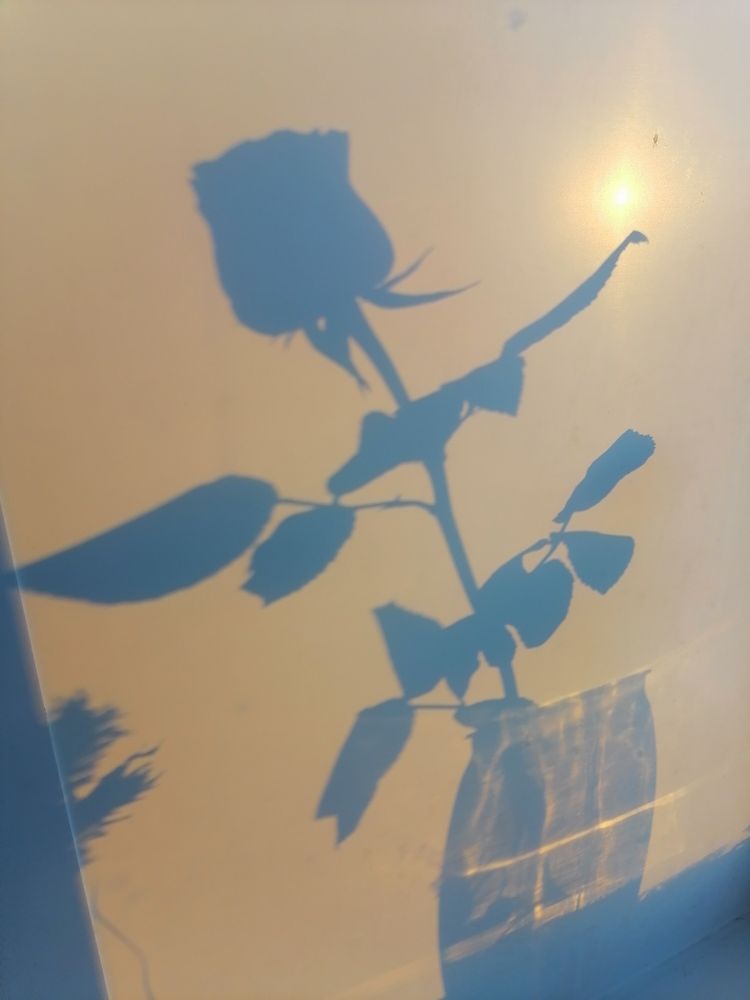 Photograph by Татьяна Бешенкина