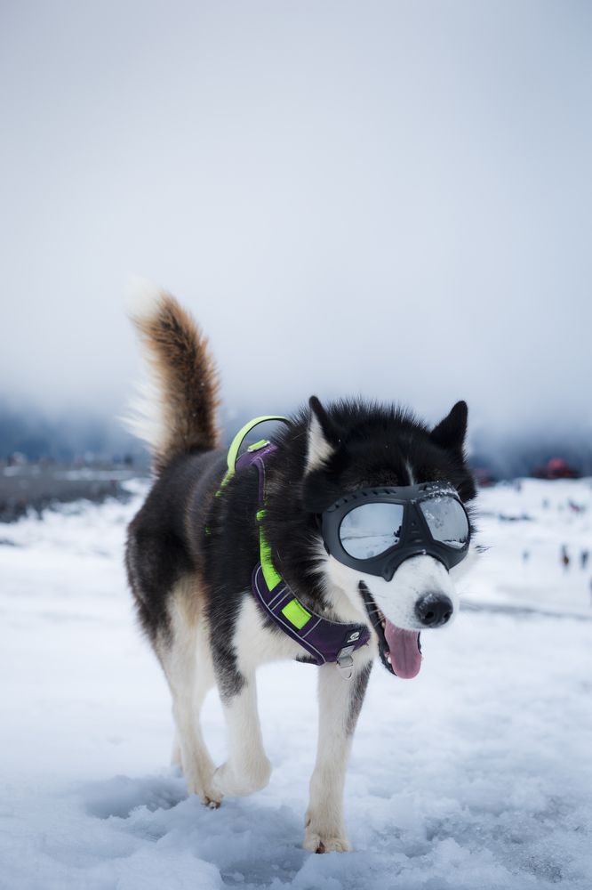 Фотография автора Максим Ремизевич