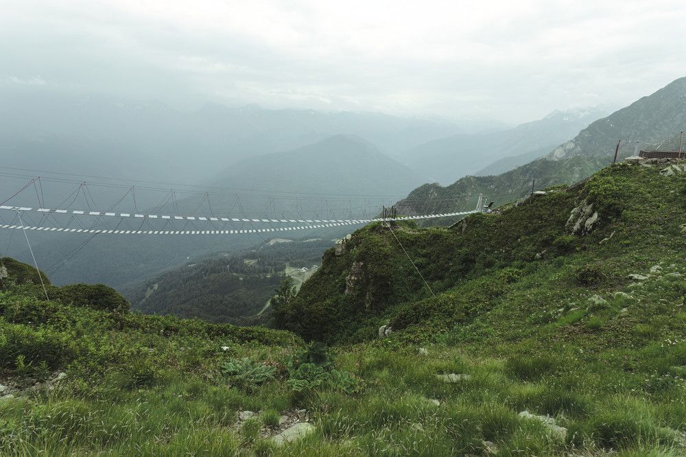 Photograph by Алексей Чеботарев