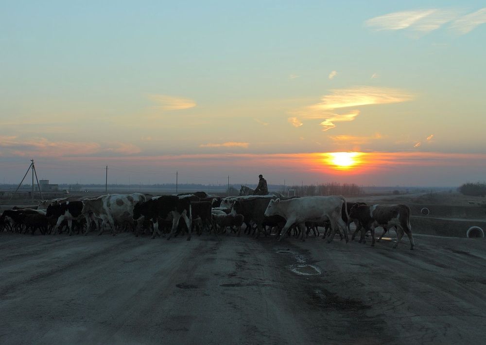 Photograph by Юрий Варюхин
