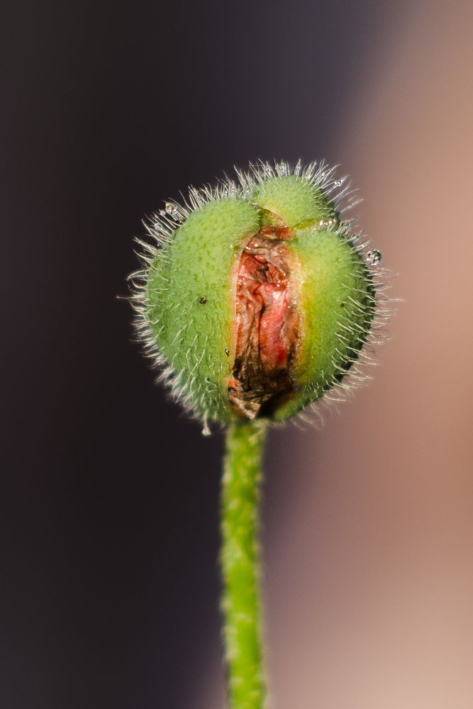 Photograph by Василий Либко