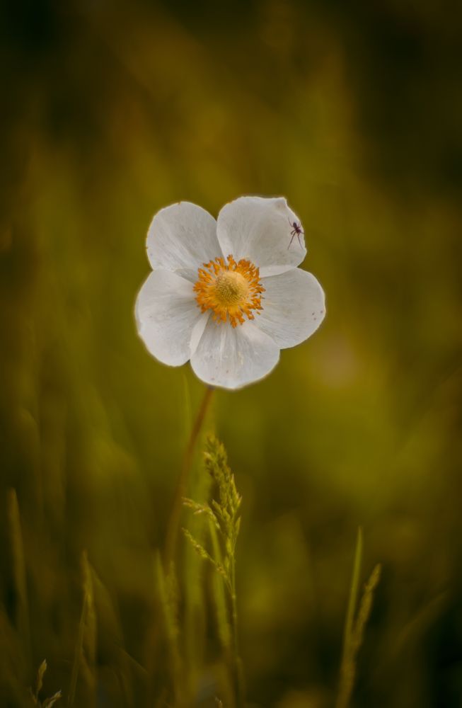 Photograph by Василий Либко