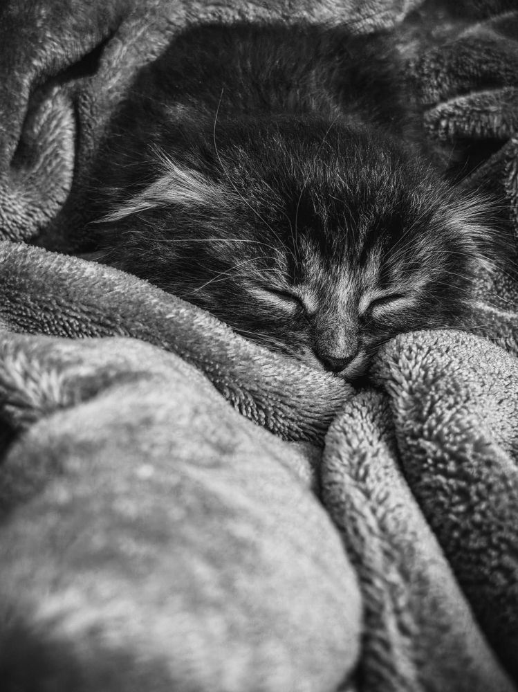 Photograph by Алеся Садченко