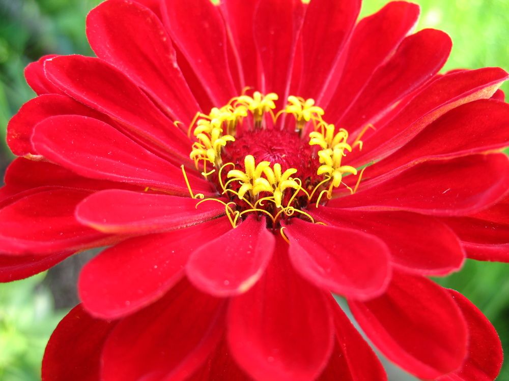 Photograph by Орл Про