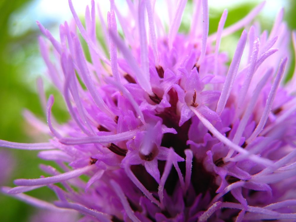 Photograph by Орл Про