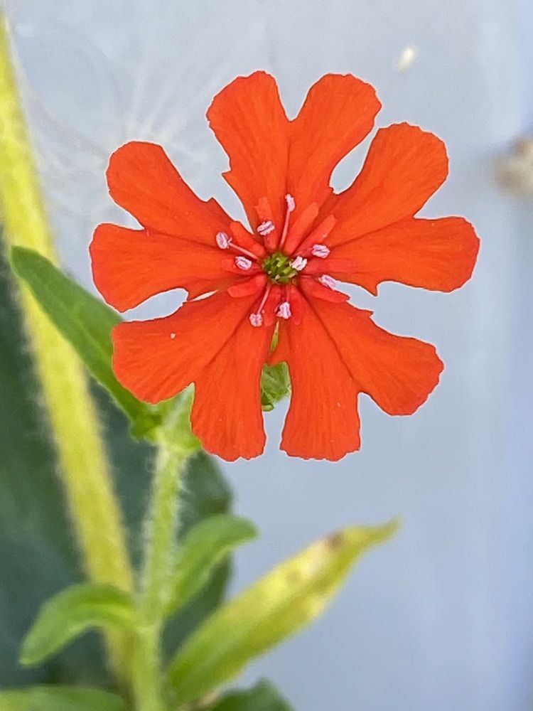 Photograph by Антонина Михалева